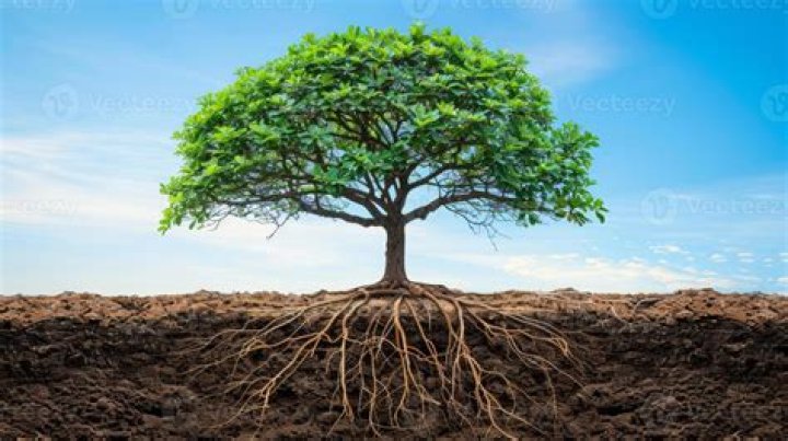 A Journey Into His Roots