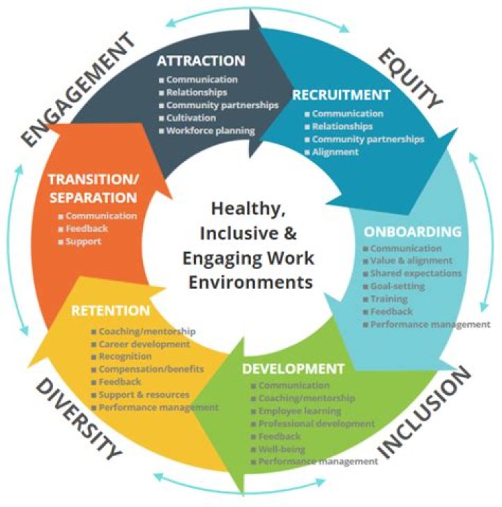 A Journey Into Industry Expertise And Impact