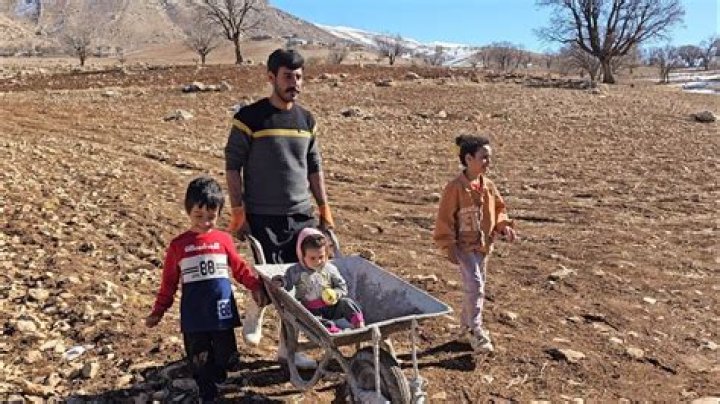 A Journey Of Love And Fatherhood