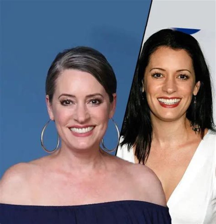 American Songwriter, Steve Damstra Married Actress Wife Paget Brewster in 2014.