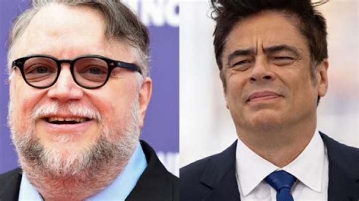 Are Guillermo And Benicio Del Toro Related?