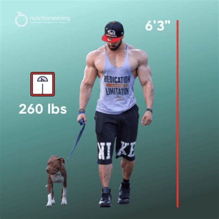 Bradley Martyn Height, Weight, and Body Measurements