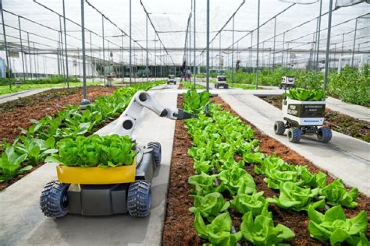 Discoveries And Insights In Agriculture