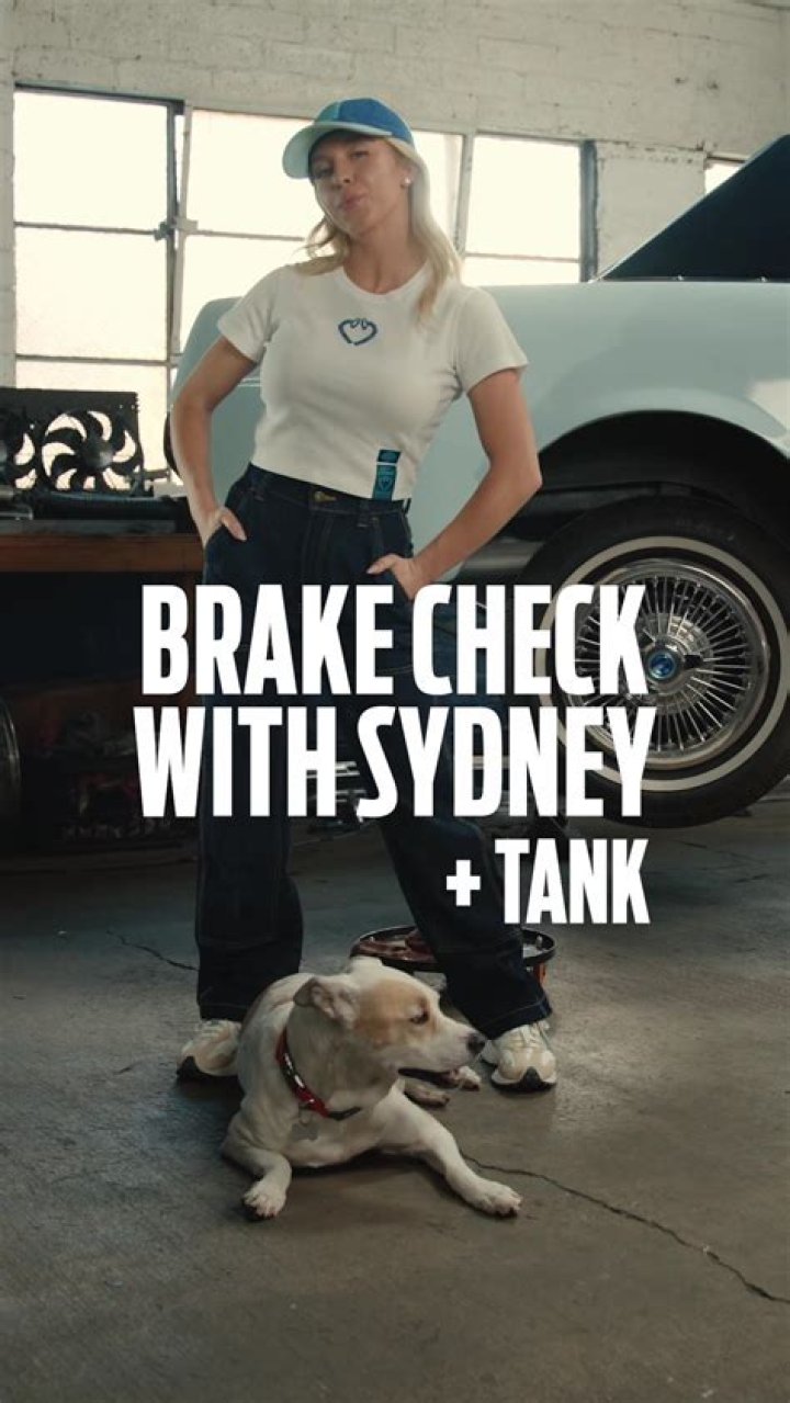 Dive Into The World Of "meet Syds Garage Tiktok Sydney"