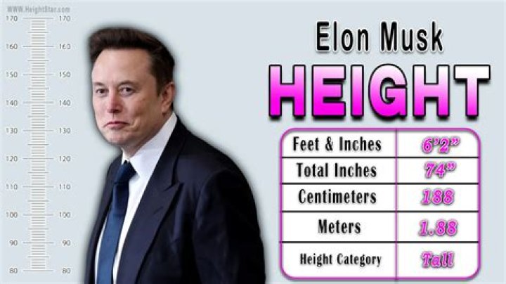 Elon Musk Height Investigation: The Untold Story