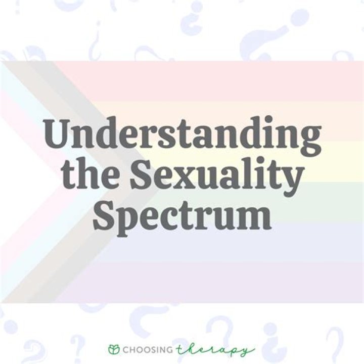 Exploring Chris Hayes' Sexual Orientation