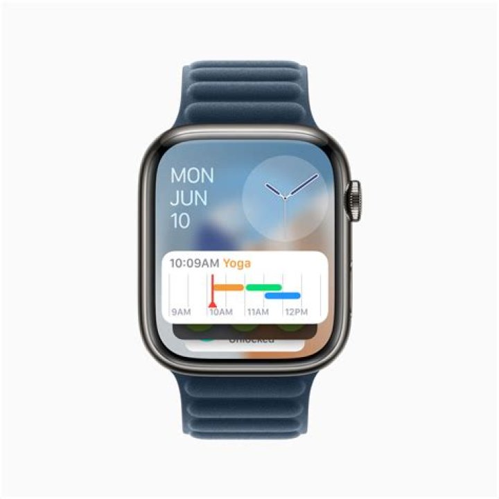 Fitness Insights You've Never Heard Before