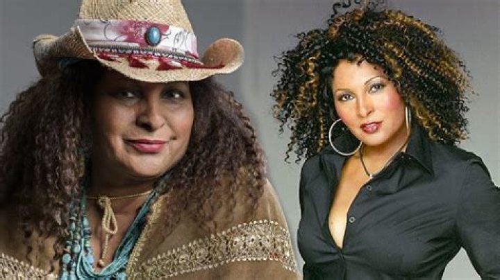 Gina Grier-Townsie: Who is Pam Grier's sister?