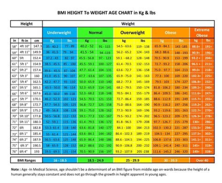 Height, Weight, Age, And Body Stats