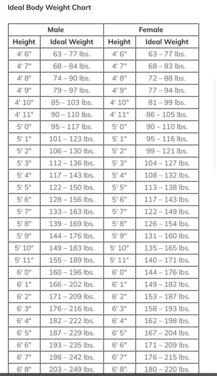 Height, Weight, Body Stats, And More!