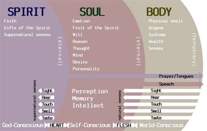 Insights Into A Troubled Soul