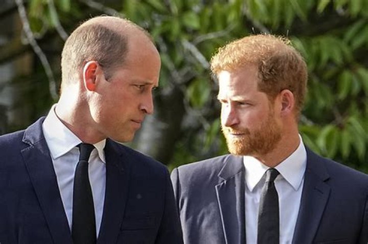 "Prince Harry Stated That Shenseea"