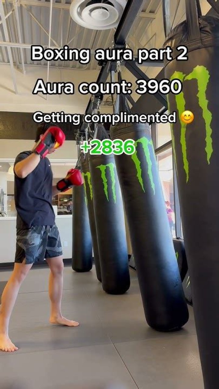 Unlocking The Secrets Of Boxing Dominance