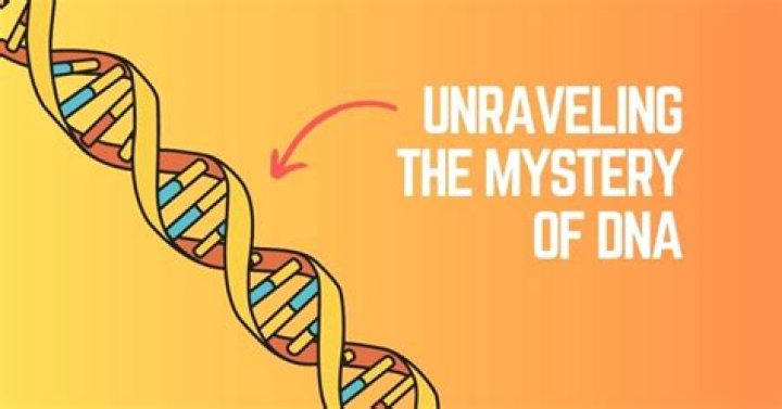 Unraveling The Mystery Of Fatherhood