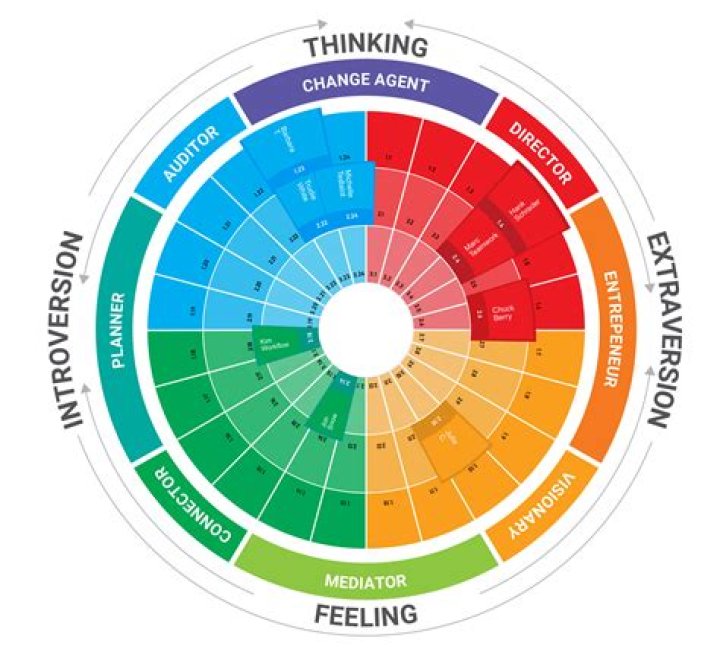 Unveiling Insights And Career Trajectory