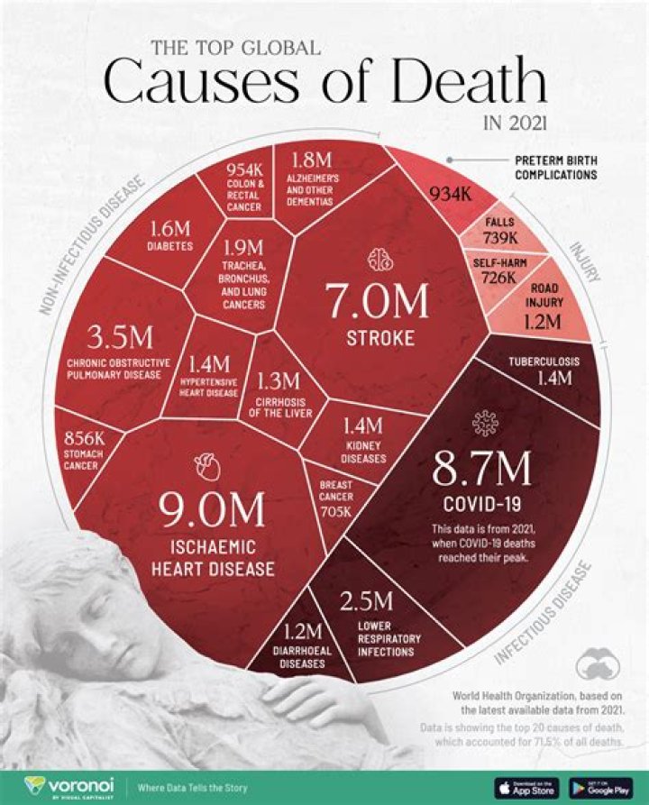 Unveiling The Cause Of Death And Its Impact