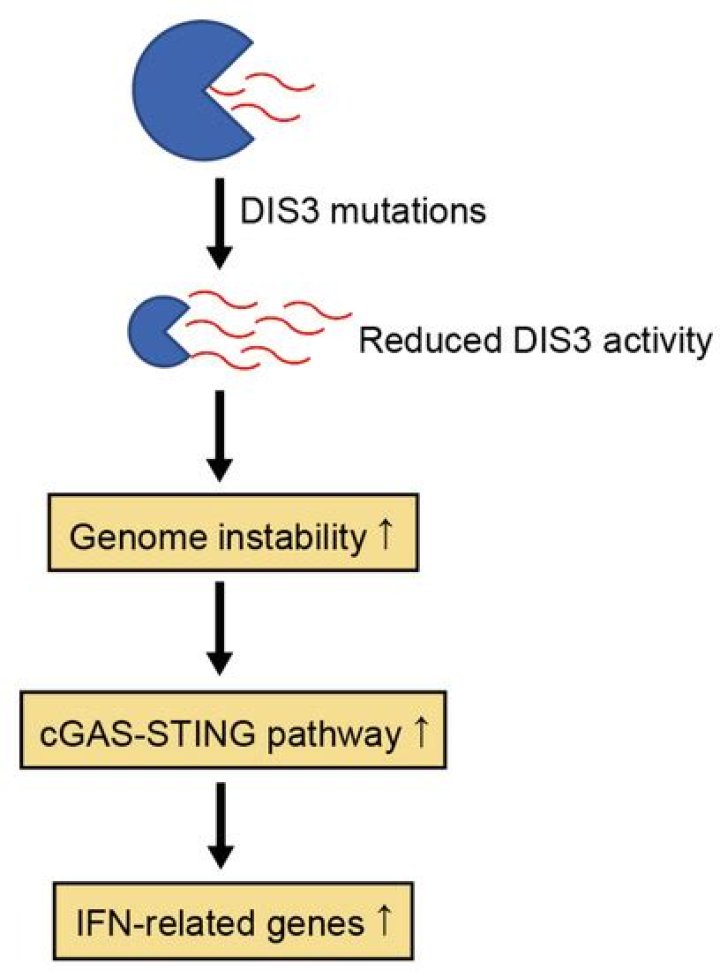 Unveiling The Enigmatic Gene Barry: Discoveries And Insights