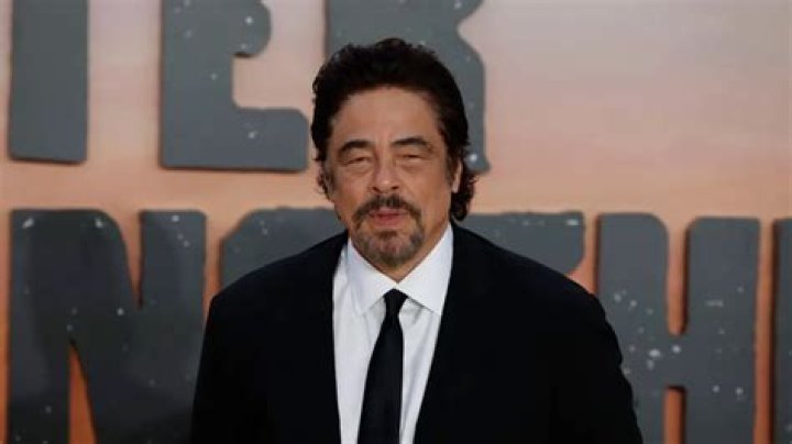 Unveiling The Private World Of Benicio Del Toro's Son: Discoveries And Insights