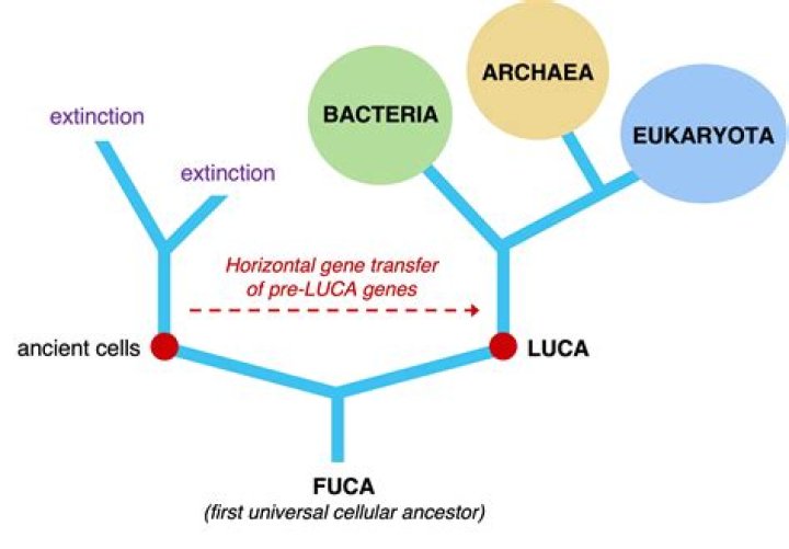 Unveiling The Return Of Luca To SWAT: Uncover Exclusive Insights